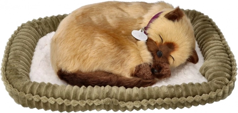 Pehme pesa eksponeerimiseks