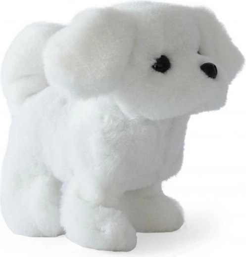 Walks like a real pet