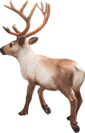 Lifelike details and realistic coloring