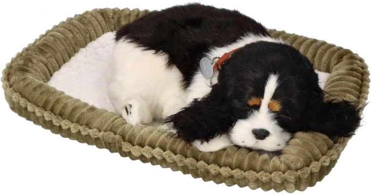 Tõetruu välimus ja mugavus