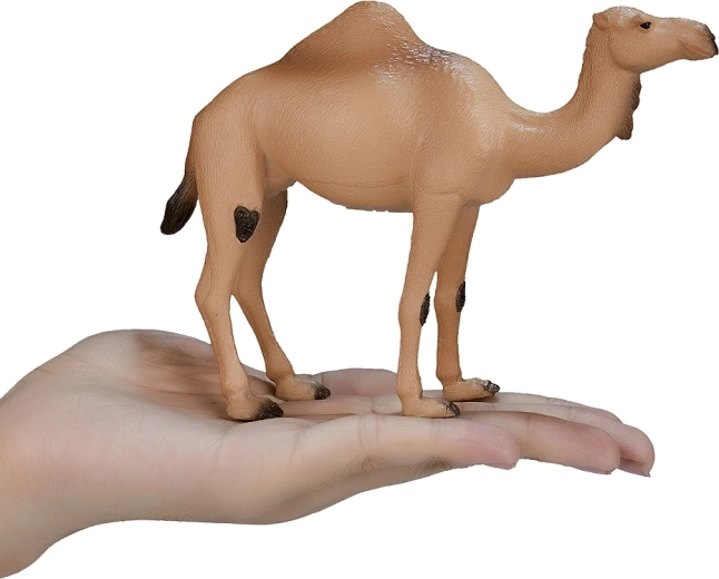 Collectible Uniqueness
