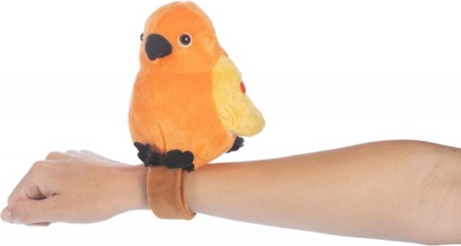Practical wristband for carrying
