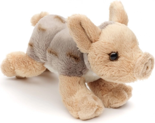 Kerge ja ideaalne reisile