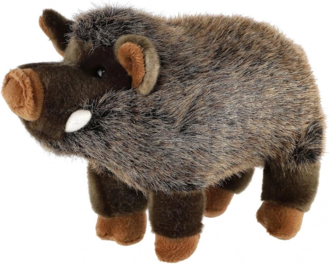 Ohutu alates sünnist