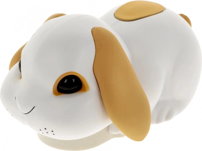 Rahutu jänku, kes paneb lõbu liikuma