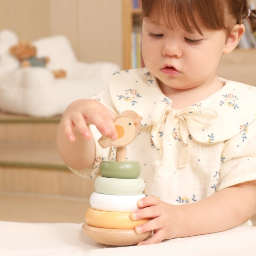 Motoorika ja loogilise mõtlemise arendamine