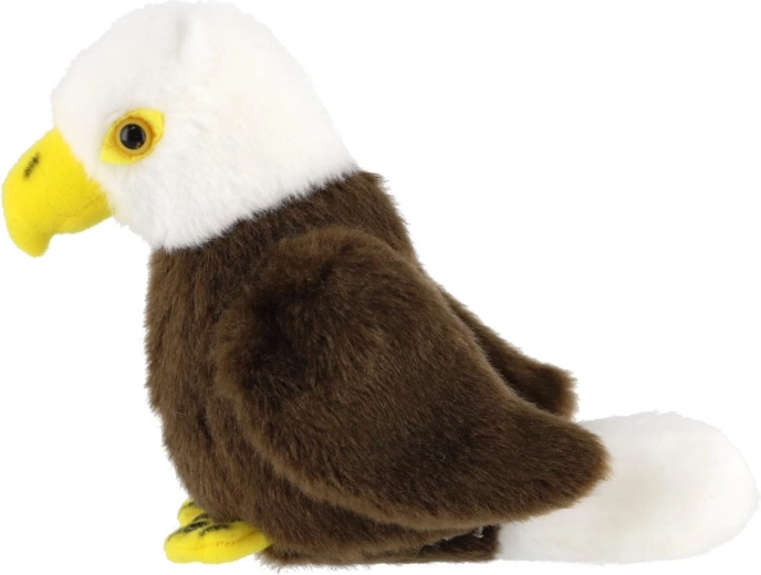 Kaljukotka realistlikud detailid