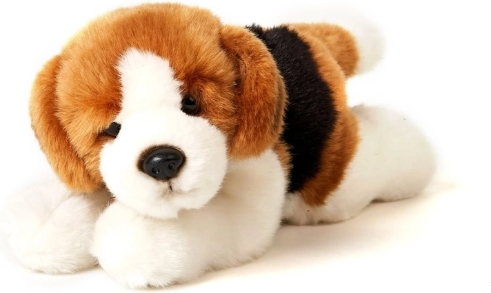 ECO FRIENDLY teostus