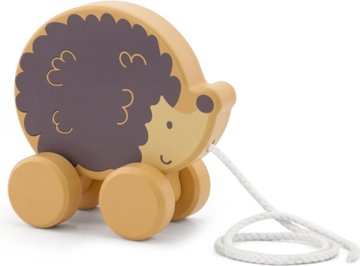 Toetab motoorseid oskusi