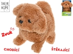 Interactive Plush Puppy Take Me Home 15.5 cm