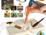 Educational Archaeological Set - Insects in BursStone