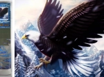 Diamond Painting Eagle 30x40 cm