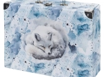 Baagl kokkupandav kooli kohver Polar metallosadega