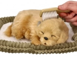 Adopt a Breathing Golden Retriever Puppy