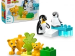 LEGO® DUPLO® 10442 Metsloomade pered: pingviinid ja lõvid