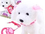 Interactive Plush Puppy on a Leash